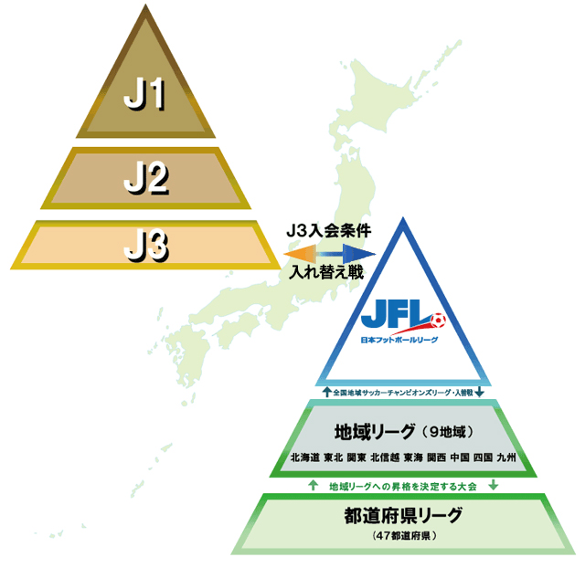 リーグ構成図